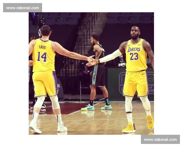 2009年NBA季后赛湖人对火箭系列赛经典对决全景回顾与战术博弈深度解析 2009年NBA季后赛湖人对火箭系列赛经典对决全景回顾与战术博弈深度解析